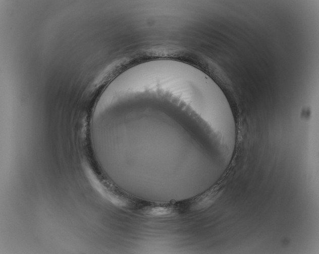 X0000111590163200908061358