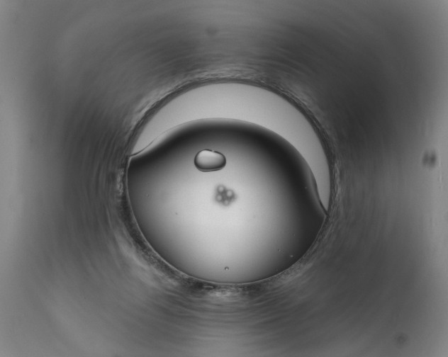 X0000111590164200908061358