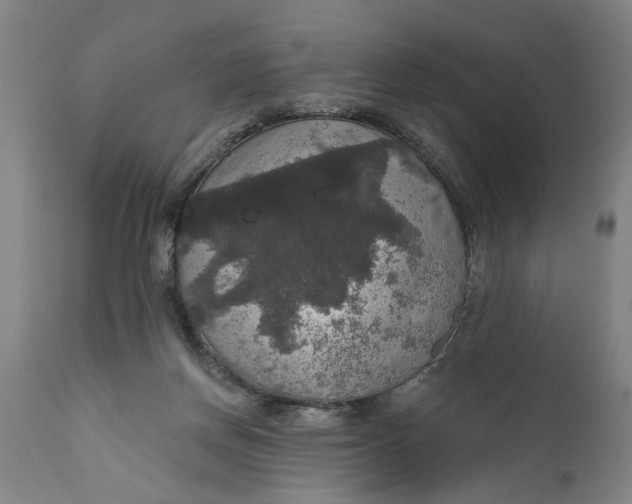 X0000111590166200908061358