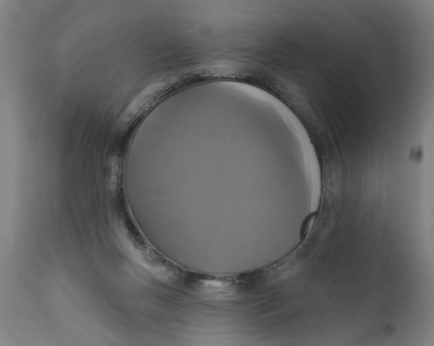 X0000111590167200908061358