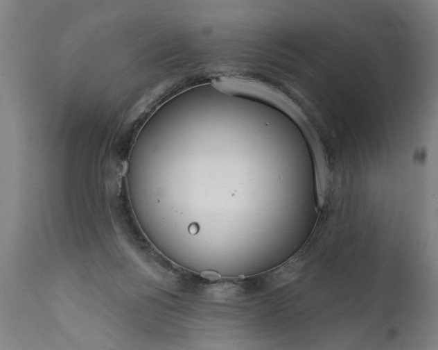 X0000111590168200908061358