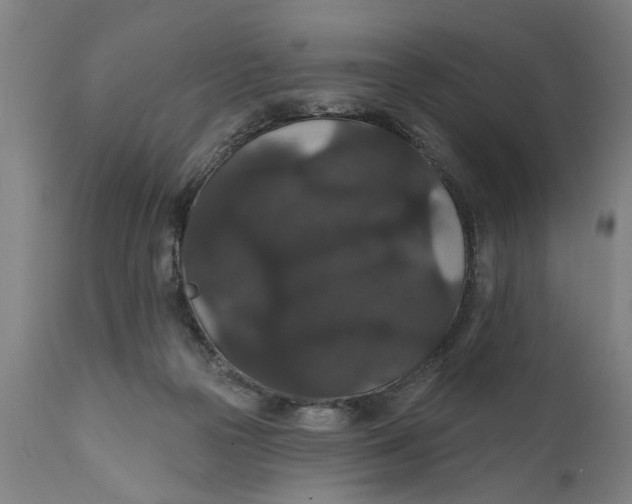 X0000111590169200908061358