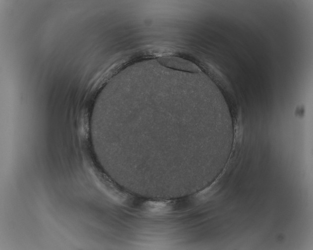 X0000111590170200908061358