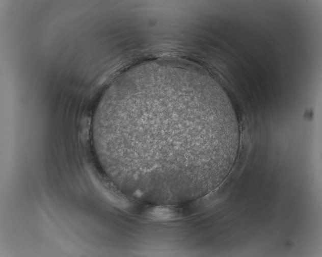 X0000111590171200908061358