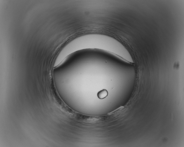 X0000111590172200908061358