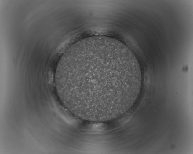 X0000111590173200908061358