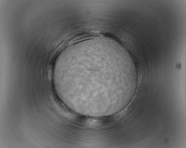 X0000111590174200908061358