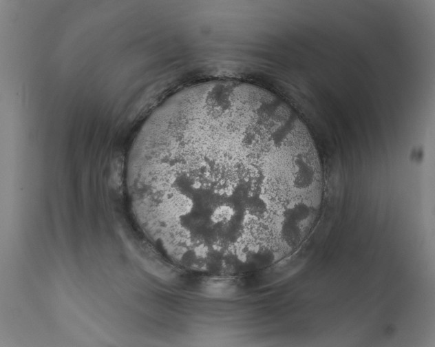 X0000111590175200908061358