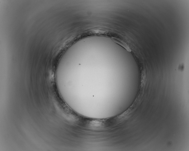 X0000111590176200908061359