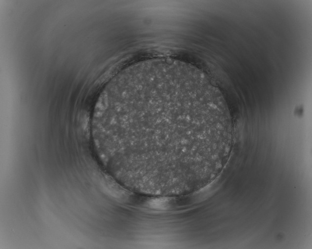 X0000111590178200908061359