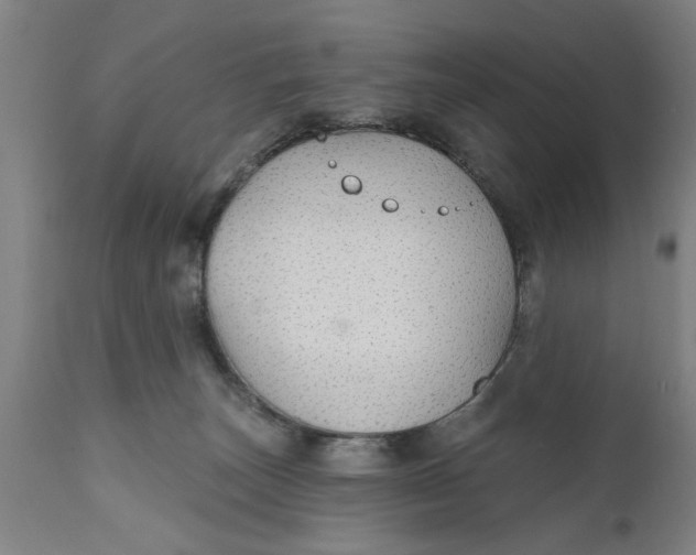 X0000111590179200908061359