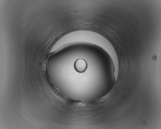 X0000111590180200908061359