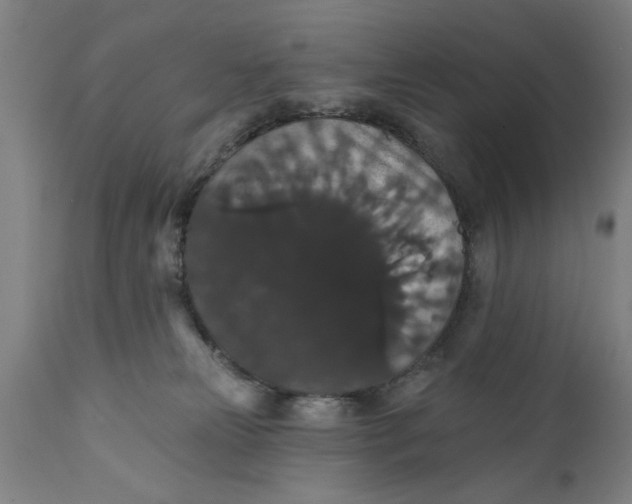 X0000111590181200908061359