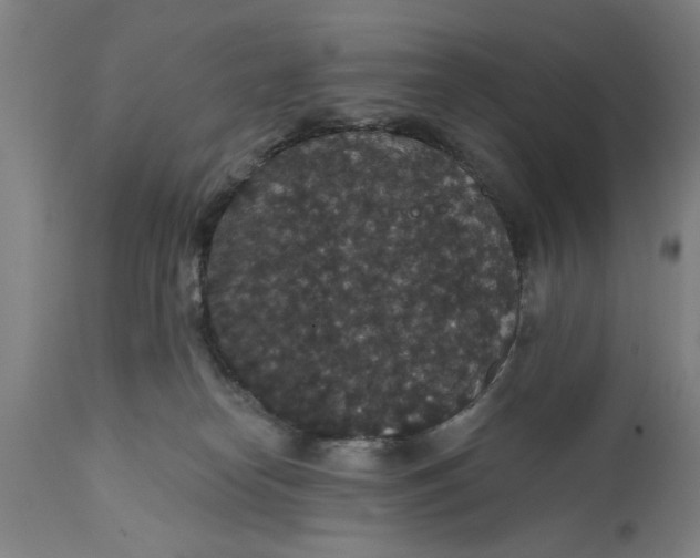 X0000111590182200908061359