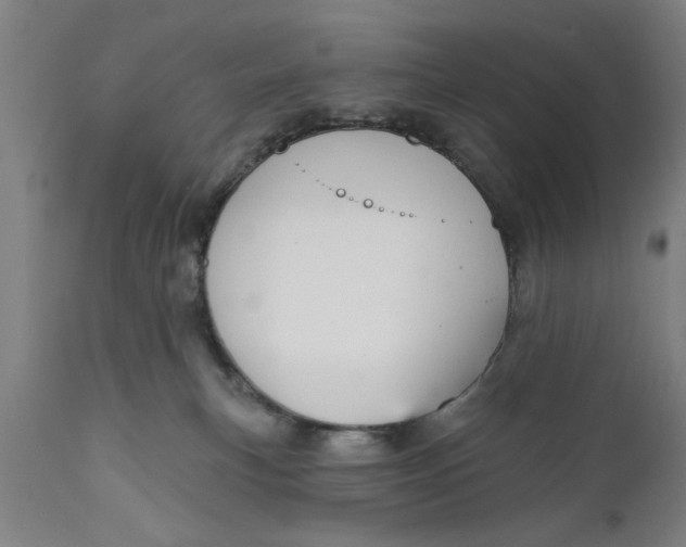 X0000111590183200908061359