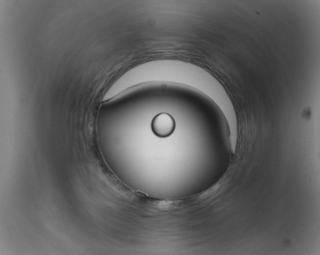 X0000111590184200908061359