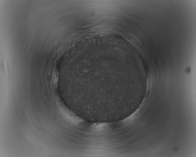 X0000111590186200908061359