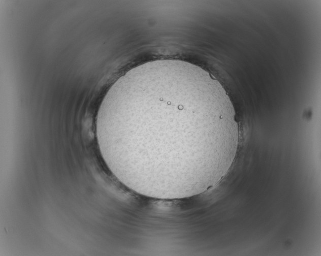 X0000111590187200908061359