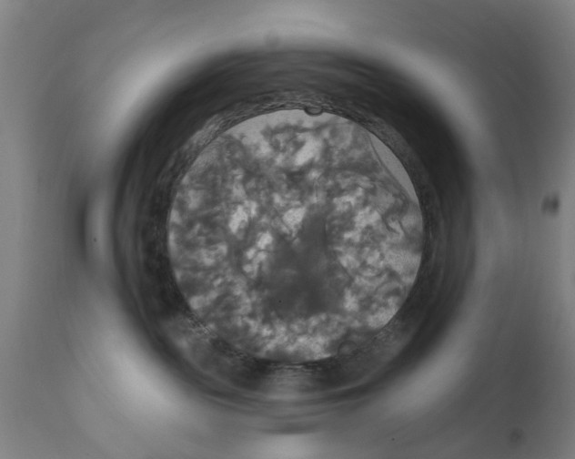 X0000111590189200908061359