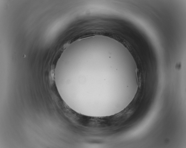 X0000111590190200908061359