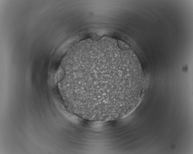 X0000111590191200908061359