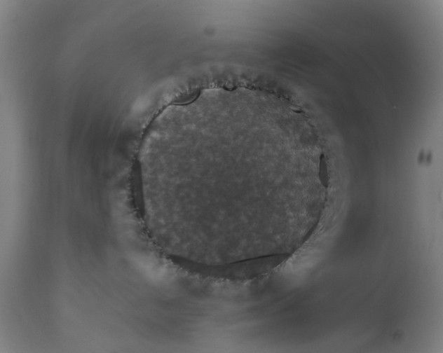 X0000111590192200908061359