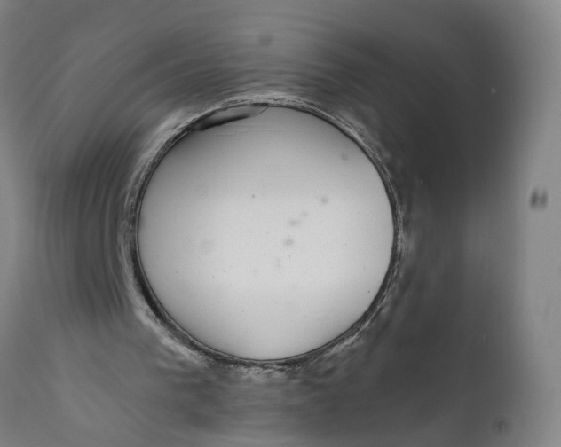 X0000111590193200908061358