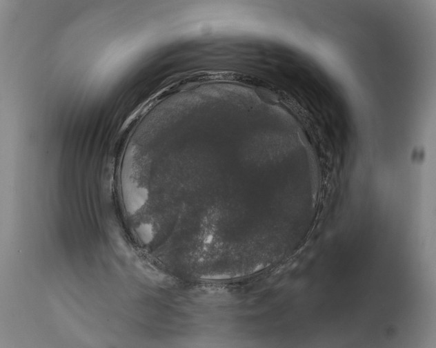 X0000111590194200908061358