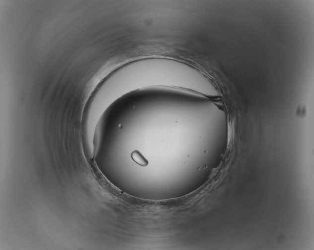 X0000111590195200908061358