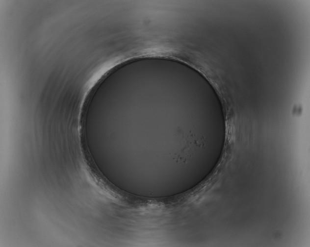 X0000111590196200908061358