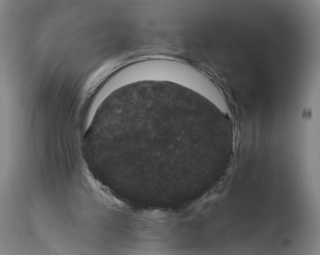 X0000111590197200908061358