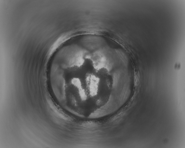 X0000111590198200908061358