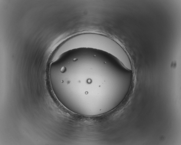 X0000111590199200908061358