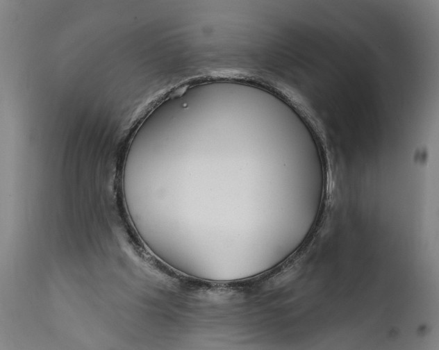 X0000111590201200908061358