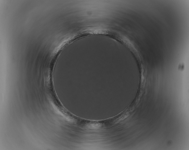 X0000111590202200908061358