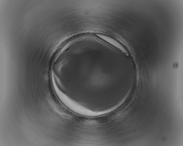 X0000111590203200908061358