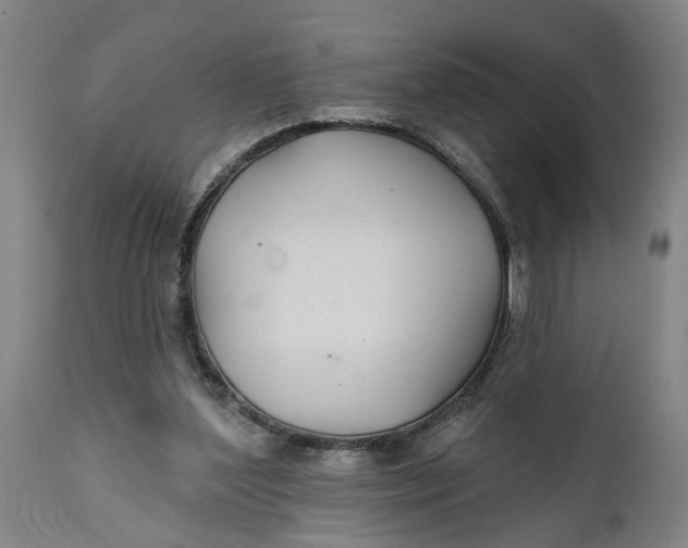 X0000111590204200908061358