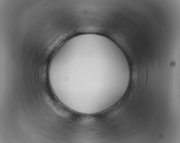 X0000111590206200908061358