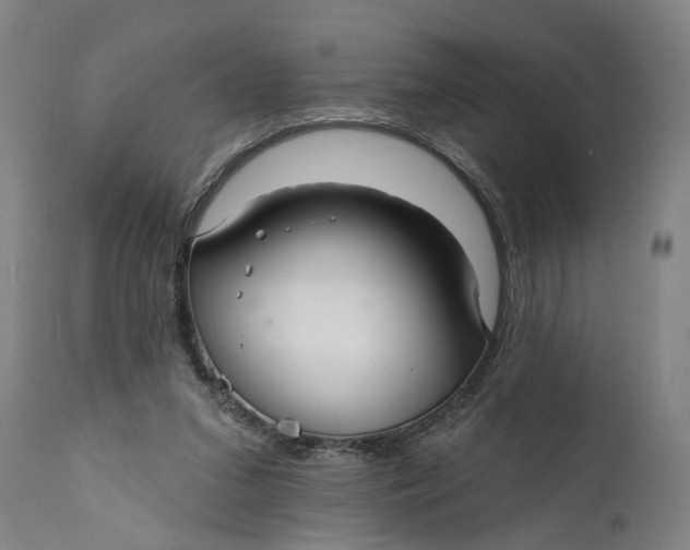 X0000111590207200908061358