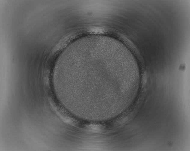 X0000111590209200908061358