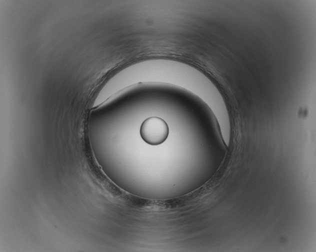 X0000111590211200908061358