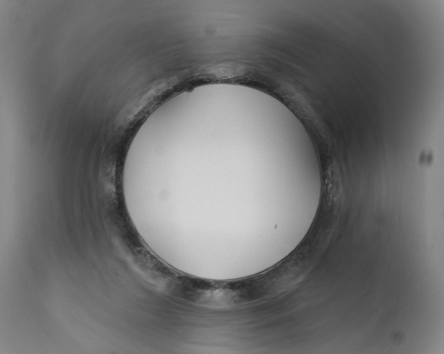 X0000111590212200908061358