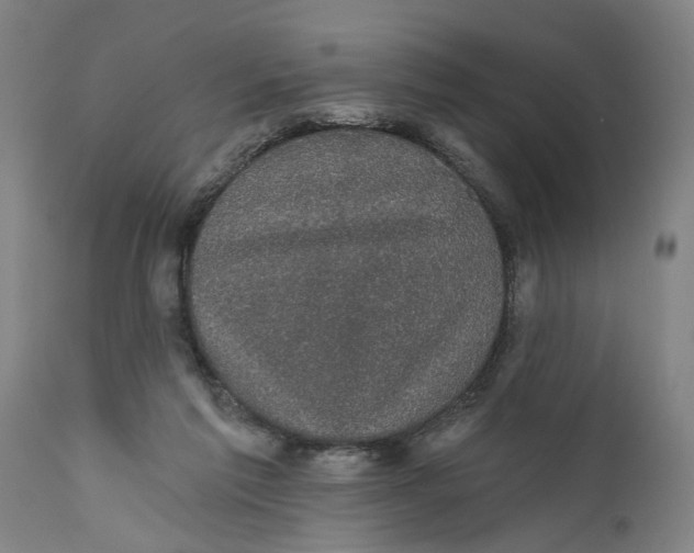 X0000111590213200908061358