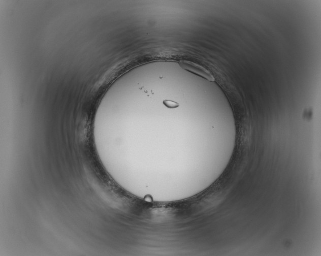 X0000111590216200908061358