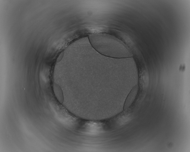 X0000111590221200908061358