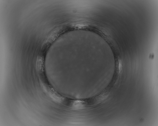 X0000111590222200908061358