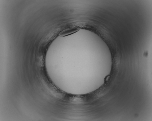 X0000111590224200908061357