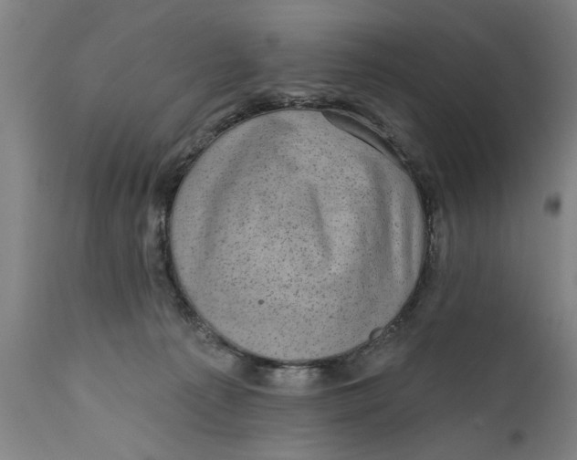 X0000111590225200908061357