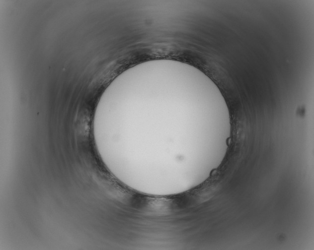 X0000111590226200908061357