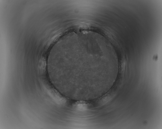 X0000111590228200908061357